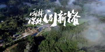 五指山毛纳村：黎家村寨日子美
依山傍水，满眼苍翠。茶香四溢，令人沉醉。这里是海南省五指山市水满乡毛纳村，一个远离喧嚣的黎族村庄。近年来毛纳村围绕“全域旅游示范村”建设目标，以美丽乡村建设为抓手，以黎族文化和热带风情为主题，大力发展乡村旅游业，村民的日子越过越红火。【详细】
