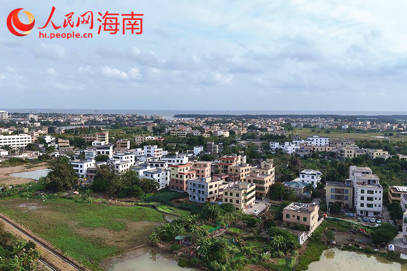 海口仲恺村：乡村风景美如画 振兴产业红如火