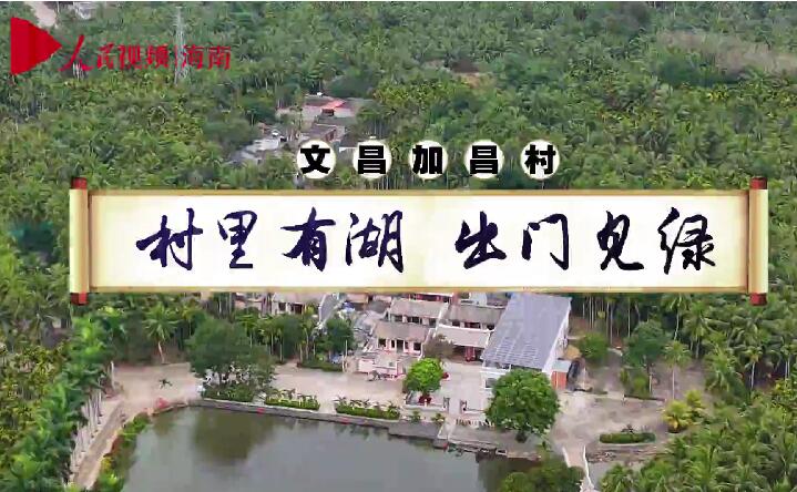 文昌加昌村：村里有湖 出门见绿