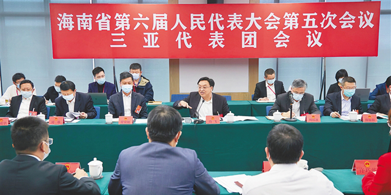 冯飞参加代表团审议