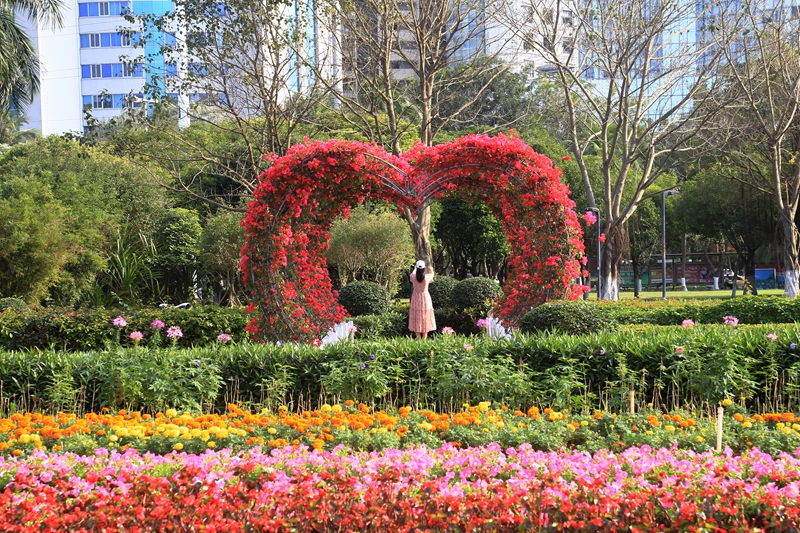 海口：百花齐放春满园