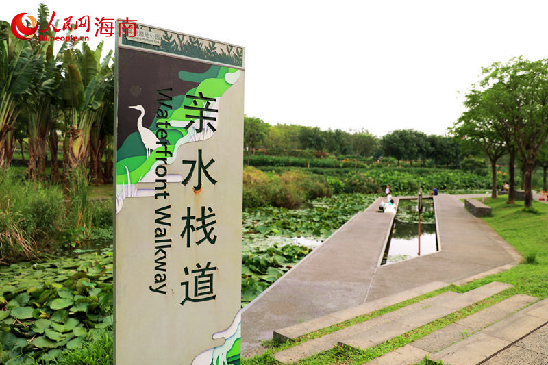 海口美舍河：水清岸绿韵味足 河畅景美民安乐