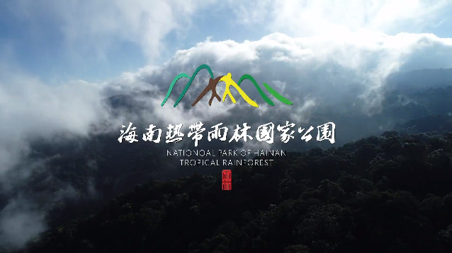 海南热带雨林一分钟