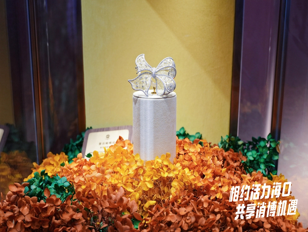 相约活力海口 共享消博机遇！“网络大v看消博”系列活动拉开帷幕