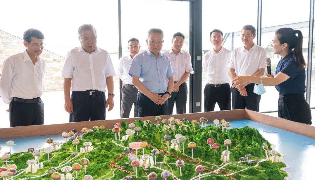 沈晓明调研儋州
