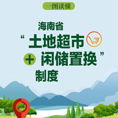 一图读懂海南省“土地超市 闲储置换”制度