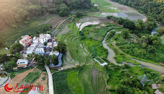 五指山毛纳村：这里处处好风景 村美民富日子火