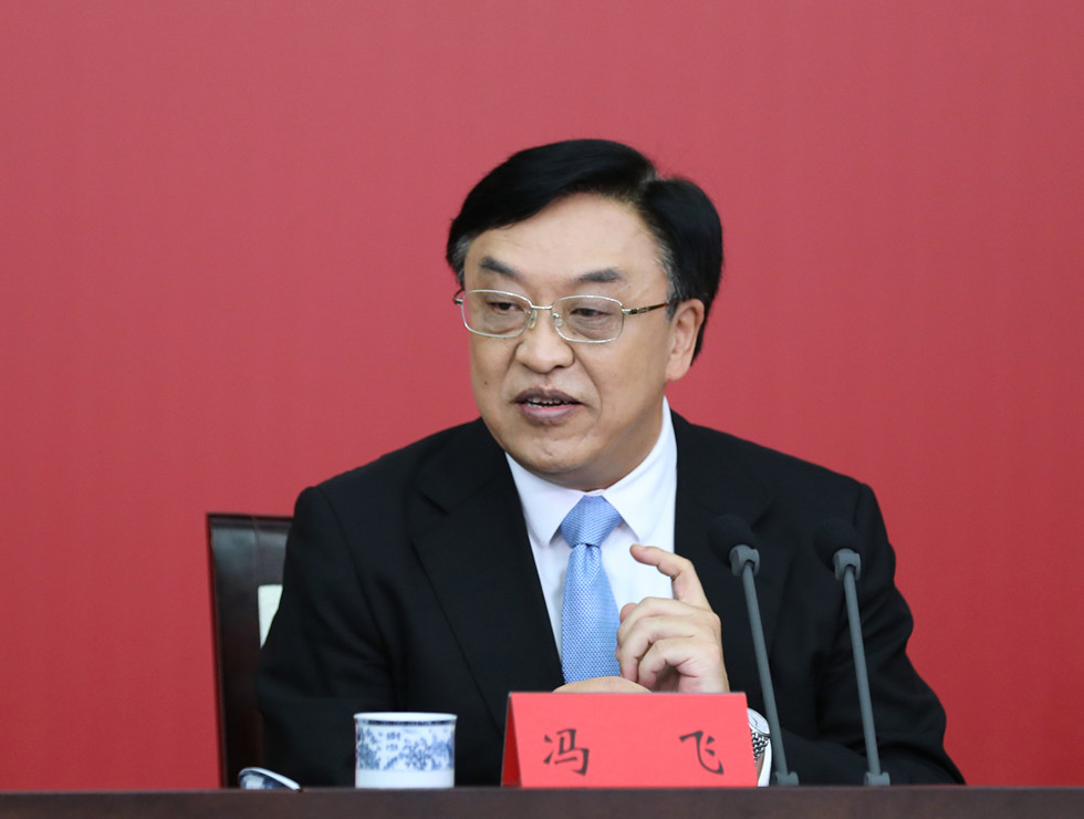 海南省委副书记、省长冯飞