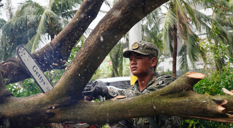 武警海口支队官兵清理被风吹倒的树木