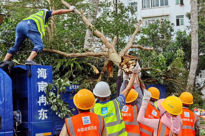 2.救援人员在文昌市教育局现场清理倒伏树木。李玉祥摄