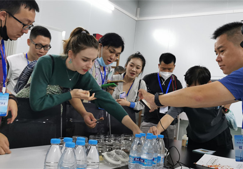 网络名人品尝加绿巧海南公司加工的巧克力。
