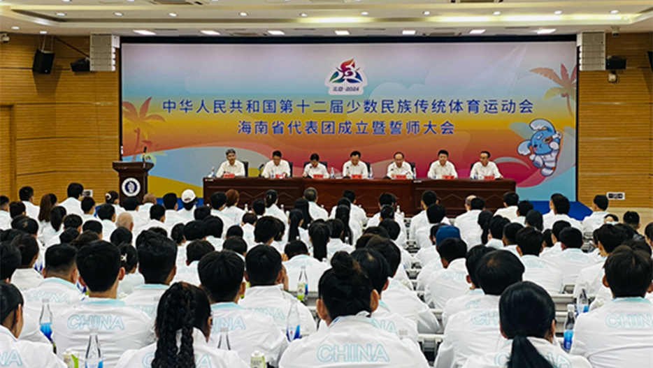海南省代表团379人誓师出征18个竞赛项目