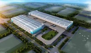 “自贸港 综保区”打造产业发展高地
