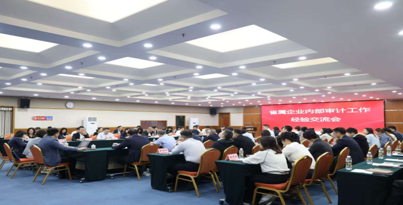 省国资委召开省属企业内部审计、工作经验交流会