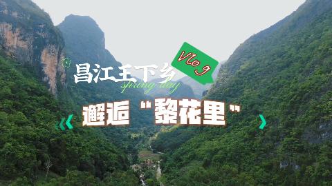 ��vlog�����������磺���ˡ��軨�